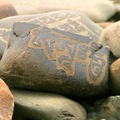 img11988  Reis Ladakh, India 2004 met Stichting Danja, www.danja.nl