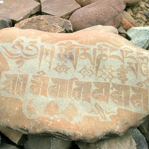 img11989  Reis Ladakh, India 2004 met Stichting Danja, www.danja.nl