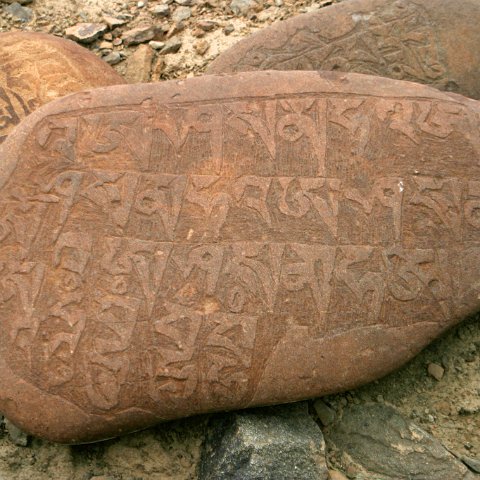 img11990  Reis Ladakh, India 2004 met Stichting Danja, www.danja.nl