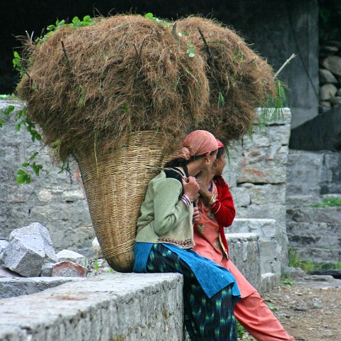 img08705  Journey through Ladakh India 2004