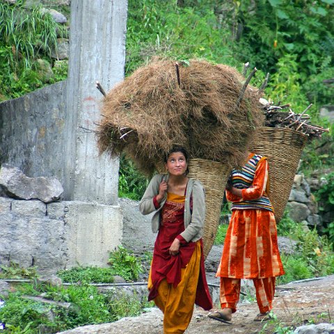 img08706  Journey through Ladakh India 2004