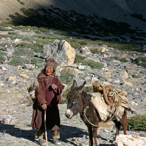 img10519  Journey through Ladakh India 2004