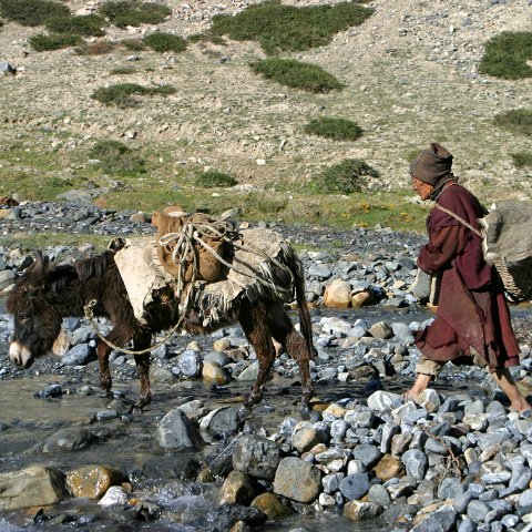 img10538  Journey through Ladakh India 2004