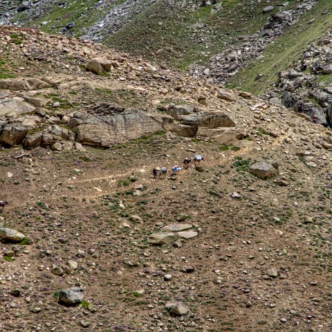 IMG 0062 2 3 2 4 2Enhancer : 2011, Himalayas, India, Zanskar, hdr result