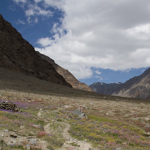 IMG 0372 2 : 2011, Himalayas, India, Zanskar