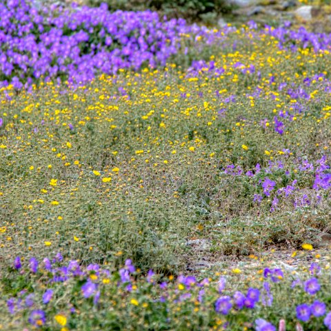 IMG 0409 2 10 2 11 2Enhancer : 2011, Himalayas, India, Zanskar, hdr result