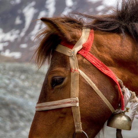 IMG 1379 2 80 2 81 2 : 2011, Himalayas, India, Zanskar, hdr basis