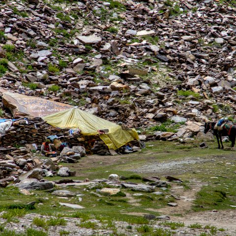 IMG 1920 2 1 2 2 2Enhancer : 2011, Himalayas, India, Zanskar, hdr result