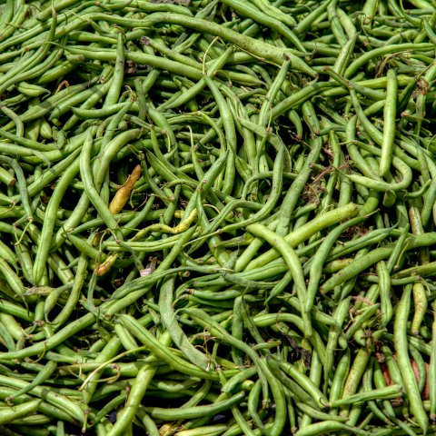 IMG 2010 2 1 2 2 2Enhancer : 2011, Himalayas, India, Zanskar, hdr result