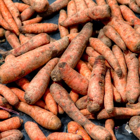 IMG 2013 2 4 2 5 2Enhancer : 2011, Himalayas, India, Zanskar, hdr result