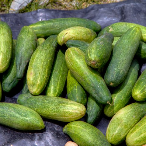 IMG 2016 2 7 2 8 2Enhancer : 2011, Himalayas, India, Zanskar, hdr result