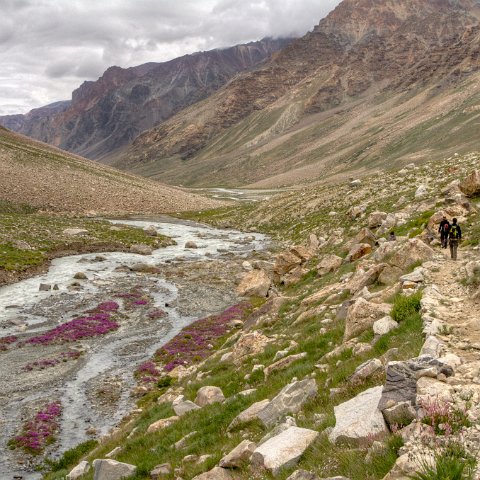 IMG 2175 2 6 2 7 2 : 2011, Himalayas, India, Zanskar, hdr basis, medereizigers