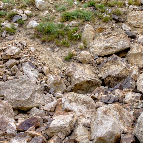 IMG 2223 2 4 2 5 2 : 2011, Himalayas, India, Zanskar, hdr basis