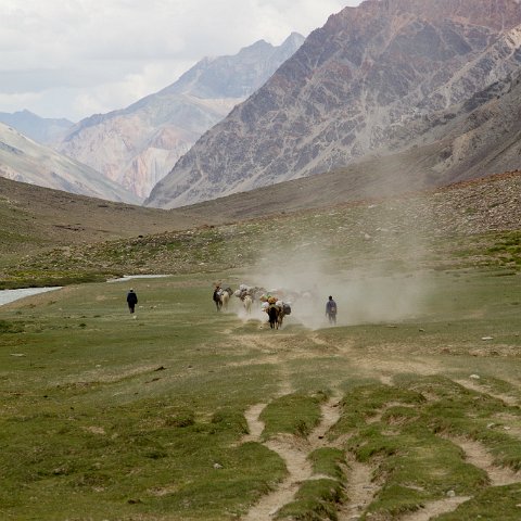 IMG 2459 2 : 2011, Himalayas, India, Zanskar, hdr basis, people