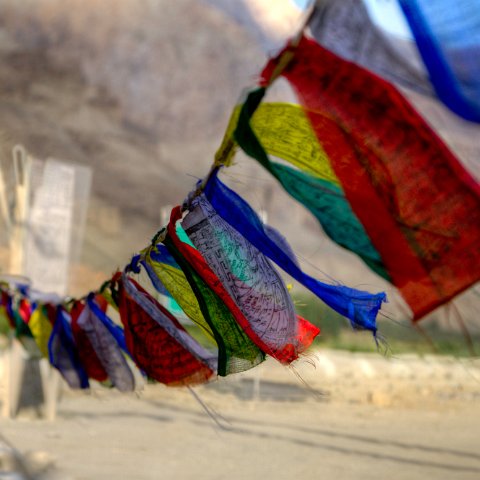 IMG 3381 2 3 : 2011, Himalayas, India, Zanskar, buddhist, flags, hdr basis