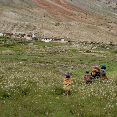 IMG 3700 2 : 2011, Himalayas, India, Zanskar, hdr basis, people