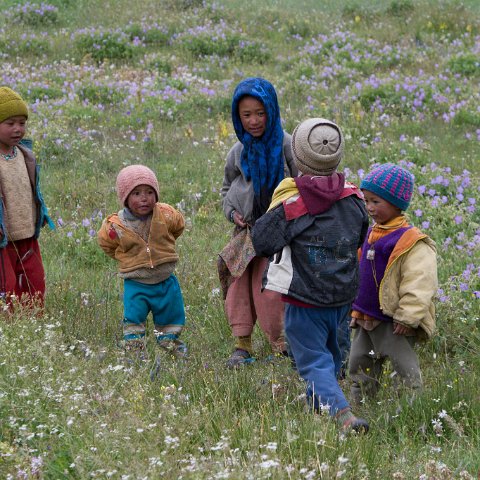 IMG 3703 2 : 2011, Himalayas, India, Zanskar, hdr basis, people