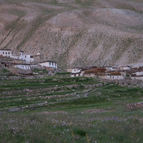 IMG 3765 2 : 2011, Himalayas, India, Zanskar