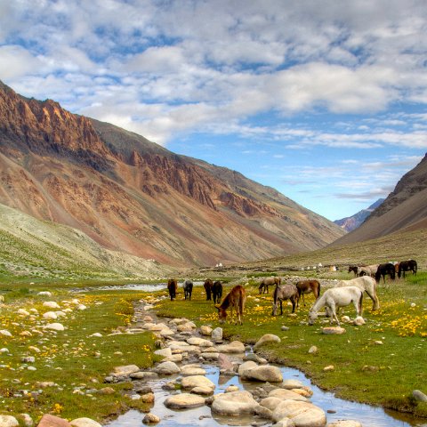 IMG 3955 2 6 2 7 2 : 2011, Himalayas, India, Zanskar, hdr basis