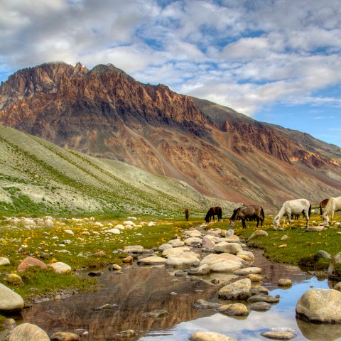 IMG 3964 2 5 2 6 2 : 2011, Himalayas, India, Zanskar, hdr basis