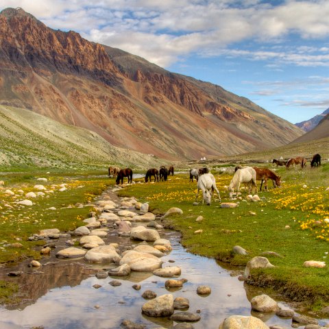 IMG 3973 2 4 2 5 2 : 2011, Himalayas, India, Zanskar, hdr basis