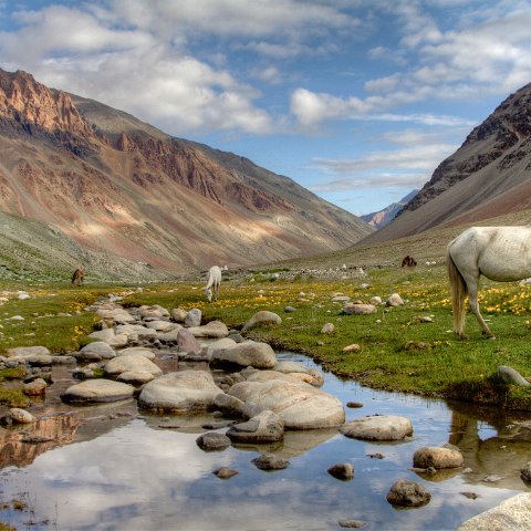 IMG 4045 2 6 2 7 2-2 : 2011, Himalayas, India, Zanskar