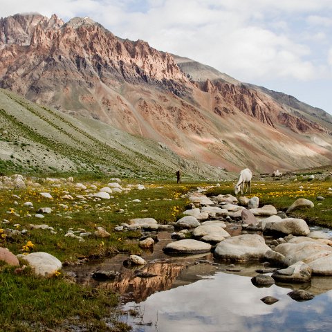 IMG 4066 2 : 2011, Himalayas, India, Zanskar, hdr basis