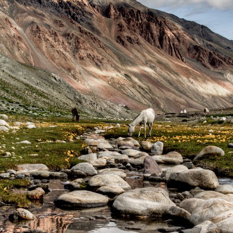 IMG 4069 2 70 2 71 2Enhancer : hdr result