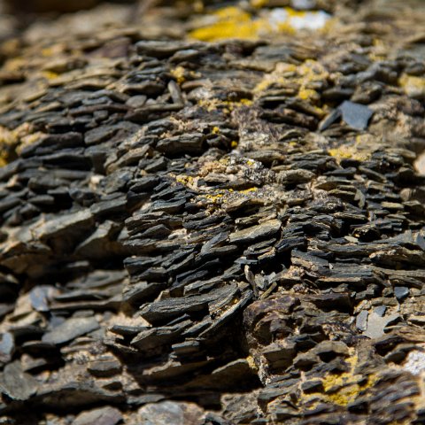 IMG 4071 : 2011, Himalayas, India, Zanskar