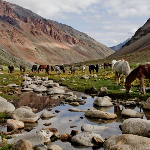 IMG 4087 2 : 2011, Himalayas, India, Zanskar, hdr basis