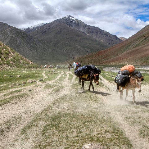 IMG 4960 2 1 2 2 : 2011, Himalayas, India, Zanskar