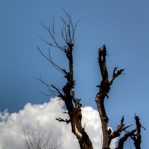 IMG 6146 3 7 3 8 3Enhancer : 2011, Himalayas, India, Zanskar, hdr result