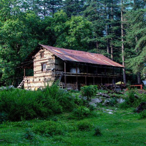 IMG 6526 3 7 3 8 2Enhancer : 2011, Himalayas, India, Zanskar, hdr result