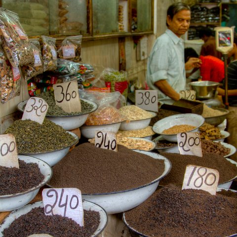 IMG 6622 3 4 : 2011, Delhi, Himalayas, India, Zanskar, people