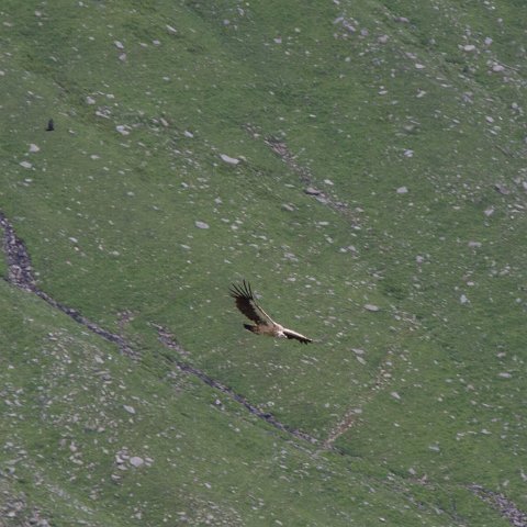 IMG 7101 2 : 2011, Himalayas, India, Zanskar