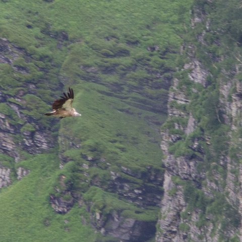 IMG 7106 2 : 2011, Himalayas, India, Zanskar