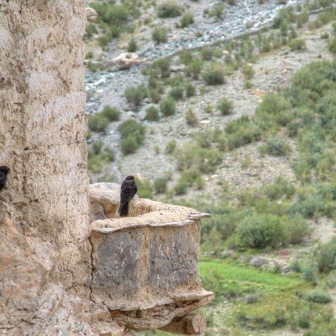 IMG 7603 4 5Enhancer : 2011, Himalayas, India, Zanskar, hdr result