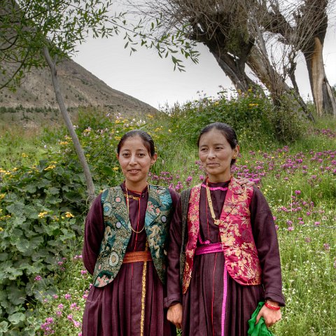 IMG 8819 2 20 2 21 2 : 2011, Darcha, Himalayas, India, Zanskar, hdr basis, people