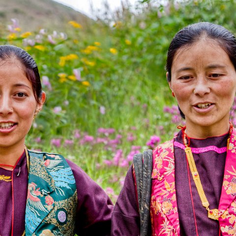 IMG 8822 2 3 2 4 2 : 2011, Darcha, Himalayas, India, Zanskar, hdr basis, people