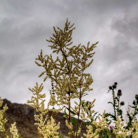 IMG 8831 2 2 2 3 2Enhancer : 2011, Himalayas, India, Zanskar, hdr result