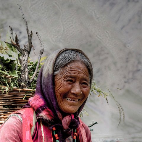 IMG 8955 2 6 2 7 2-2 : 2011, Darcha, Himalayas, India, Zanskar, hdr basis, people