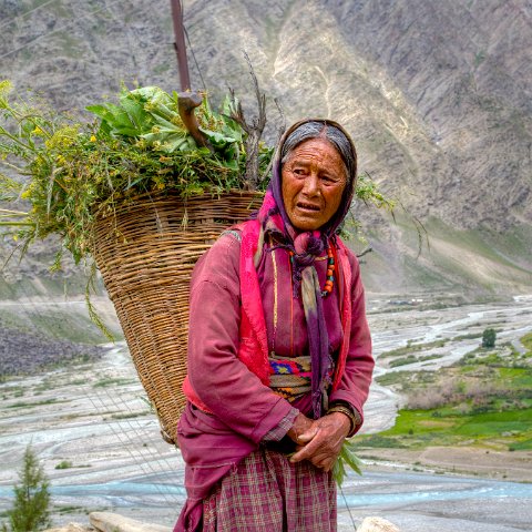 IMG 8958 2 59 2 60 2-2 : 2011, Darcha, Himalayas, India, Zanskar, hdr basis, people