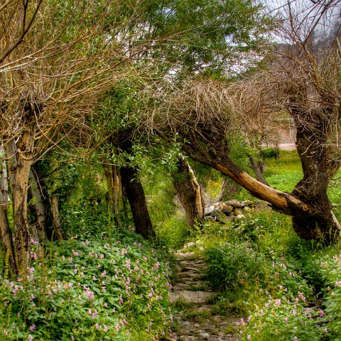 IMG 8988 2 89 2 90 2Enhancer : 2011, Himalayas, India, Zanskar, hdr result