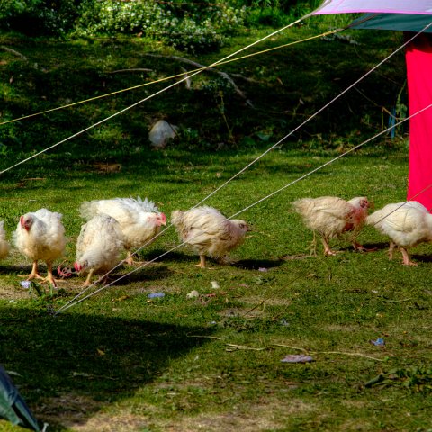 IMG 9323 2 4 2 5 2Enhancer : 2011, Himalayas, India, Zanskar, hdr result