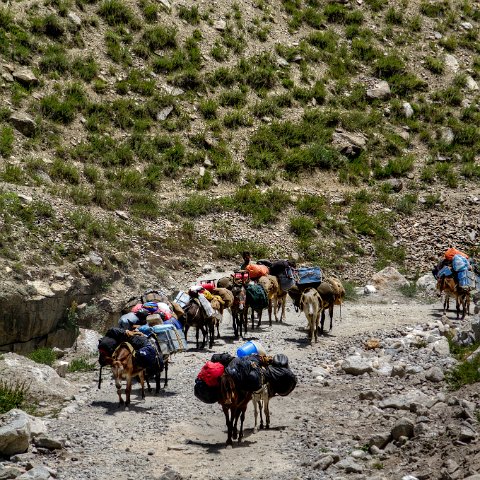 IMG 9724 2 5 2 6 2 : 2011, Himalayas, India, Zanskar, hdr basis