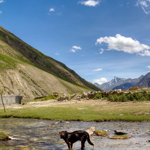 IMG 9756 2 7 2 8 2 : 2011, Himalayas, India, Zanskar, hdr basis
