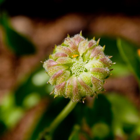 IMG 0315 : 2011, Himalayas, India, Zanskar, hdr basis