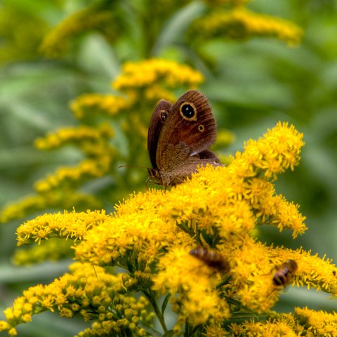 IMG 6454 3 5 3 6 3Enhancer : 2011, Himalayas, India, Zanskar, hdr result