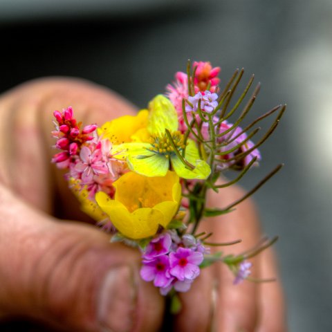 IMG 7546 2 7 2 8 2Enhancer : 2011, Creative, Himalayas, India, Zanskar, hands, hdr result, medereizigers