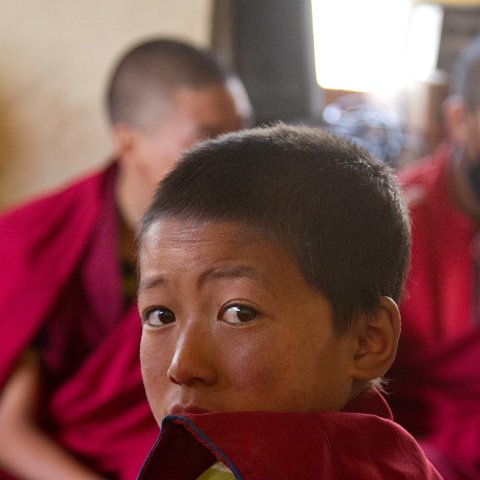 IMG 0162 : 2011, Himalayas, India, Zanskar, hdr basis, people